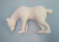 Visions West Gallery :: Bruce :: Polar Loner