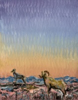 Visions West Gallery :: Bruce :: Badlands Bighorn at Dusk