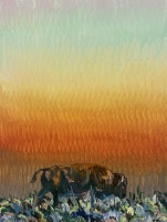 Visions West Gallery :: Bruce :: Bison in Twilight
