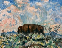 Visions West Gallery :: Bruce :: Bison