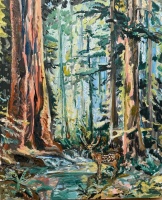 Visions West Gallery :: Bruce :: Old Growth and Stream