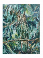 Visions West Gallery :: Bruce :: Wild Eyes