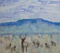 Visions West Gallery :: Bruce :: Cottonwood Elk #7