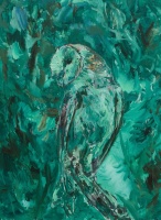 Visions West Gallery :: Bruce :: Barn Owl