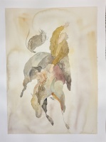 Visions West Gallery :: Bruce :: What Winds are Driving Me