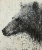 Visions West Gallery :: Bruce :: Absorbed 