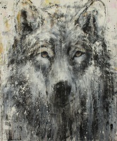 Visions West Gallery :: Bruce :: Perspicacity