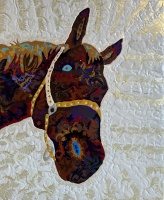 Visions West Gallery :: Bruce :: Bronco