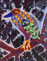 Visions West Gallery :: Bruce :: Night Heron