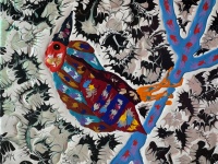 Visions West Gallery :: Bruce :: Black Crowned Night Heron