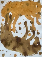 Visions West Gallery :: Bruce :: Columbia River Colts