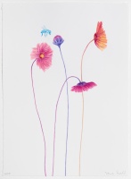 Visions West Gallery :: Bruce :: Bee with Tickseed