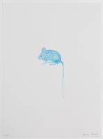 Visions West Gallery :: Bruce :: Blue Field Mouse