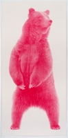 Visions West Gallery :: Bruce :: Magenta Bear #10