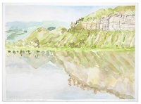 Visions West Gallery :: 1 bee-with-tickseed Steve :: Missouri Riverscape #19 White Cliffs at Slaughter River