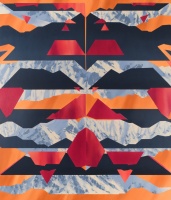 Visions West Gallery :: 1 fire-kasina Beau :: Davetta