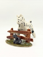 Visions West Gallery :: 1 columbia-river-colts Charlie :: Ally the Appy and her cat Banjo