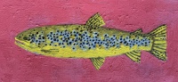 Visions West Gallery :: 1 jardina-permit Jeb :: Flint Creek Brown Trout 