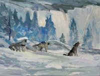 Visions West Gallery :: Bruce :: Fresh Snow, Early Dec., 8 Mile pack