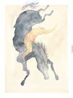 Visions West Gallery :: Bruce :: A Special Bond