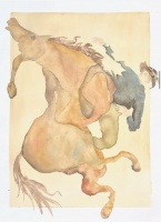 Visions West Gallery :: Bruce :: Irrational Bitterness