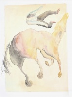 Visions West Gallery :: Bruce :: One Day I Will Have Wings Or A Wish For Wings