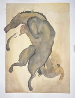 Visions West Gallery :: Bruce :: Bewildered Acceptance