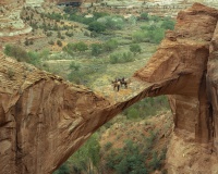 Visions West Gallery :: Bruce :: On the Edge of Time