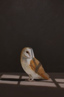 Visions West Gallery :: Bruce :: Breach