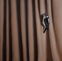 Visions West Gallery :: Bruce :: Frontier