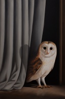 Visions West Gallery :: Bruce :: Habitat