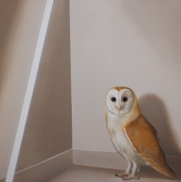 Visions West Gallery :: Bruce :: Hollow