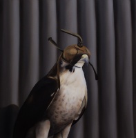 Visions West Gallery :: Bruce :: Insight