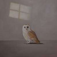 Visions West Gallery :: Bruce :: Interval