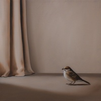 Visions West Gallery :: Bruce :: Means of Access