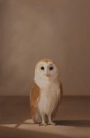 Visions West Gallery :: Bruce :: Witness