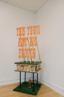 Visions West Gallery :: Bruce :: This Town Aint Big Enough
