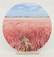 Visions West Gallery :: Bruce :: Prairie: Smoke