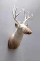 Visions West Gallery :: 1 spring-run Rachel :: Ombre Buck 