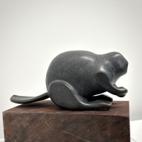 Visions West Gallery :: Bruce :: Beaver (Cloudywing)