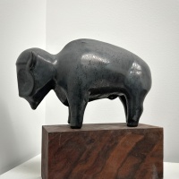 Visions West Gallery :: Bruce :: Buffalo (Cloudywing)