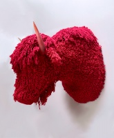 Visions West Gallery :: Bruce :: Red Bison