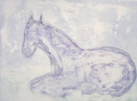 Visions West Gallery :: Bruce :: Forest #5