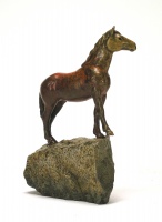 Visions West Gallery :: Bruce :: North Wind