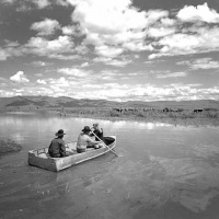 Visions West Gallery :: Bruce :: After the Rains