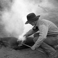 Visions West Gallery :: Bruce :: Branding