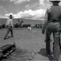 Visions West Gallery :: Bruce :: Branding, Deep Creek