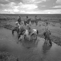 Visions West Gallery :: Bruce :: Cool Water