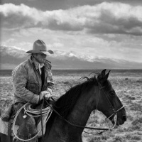 Visions West Gallery :: Bruce :: Fish Creek 