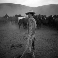 Visions West Gallery :: Bruce :: Shane Sanders